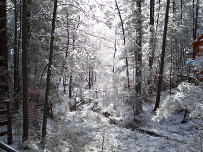 Ruidoso Creekside Cabin At Ruidoso New Mexico Photos